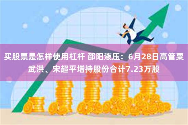 买股票是怎样使用杠杆 邵阳液压：6月28日高管粟武洪、宋超平增持股份合计7.23万股