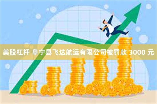 美股杠杆 阜宁县飞达航运有限公司被罚款 3000 元