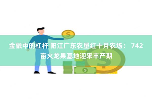 金融中的杠杆 阳江广东农垦红十月农场： 742亩火龙果基地迎来丰产期