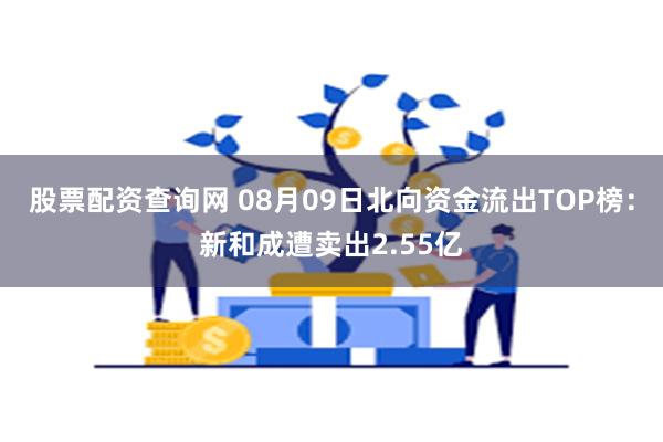 股票配资查询网 08月09日北向资金流出TOP榜：新和成遭卖出2.55亿