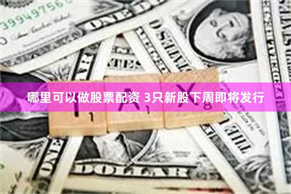 哪里可以做股票配资 3只新股下周即将发行