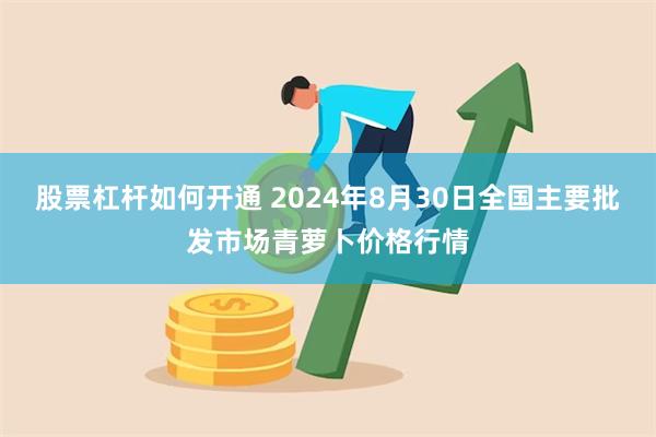 股票杠杆如何开通 2024年8月30日全国主要批发市场青萝卜价格行情