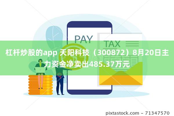 杠杆炒股的app 天阳科技（300872）8月20日主力资金净卖出485.37万元