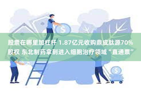 股票在哪里加杠杆 1.87亿元收购鼎成肽源70%股权 东北制药拿到进入细胞治疗领域“直通票”