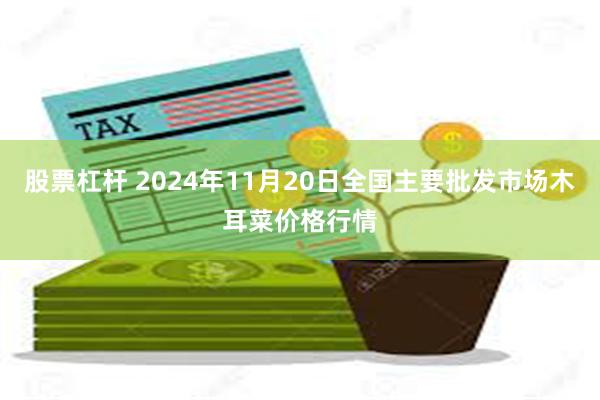 股票杠杆 2024年11月20日全国主要批发市场木耳菜价格行情