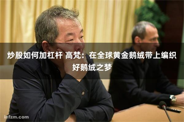 炒股如何加杠杆 高梵：在全球黄金鹅绒带上编织好鹅绒之梦