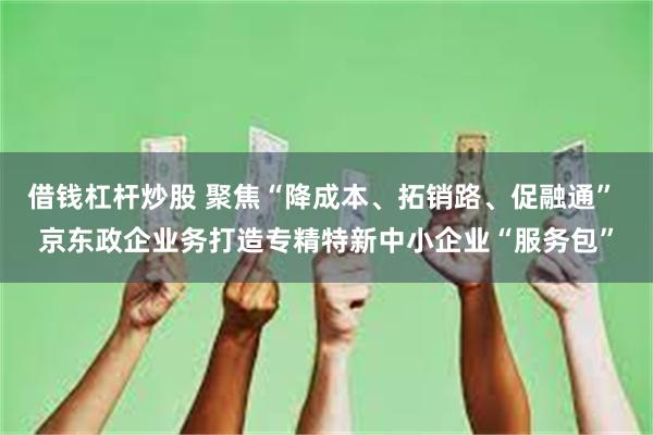 借钱杠杆炒股 聚焦“降成本、拓销路、促融通” 京东政企业务打造专精特新中小企业“服务包”