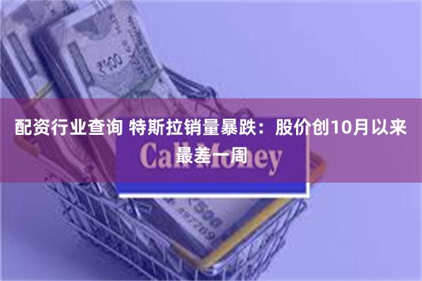 配资行业查询 特斯拉销量暴跌：股价创10月以来最差一周