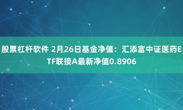 股票杠杆软件 2月26日基金净值：汇添富中证医药ETF联接A最新净值0.8906