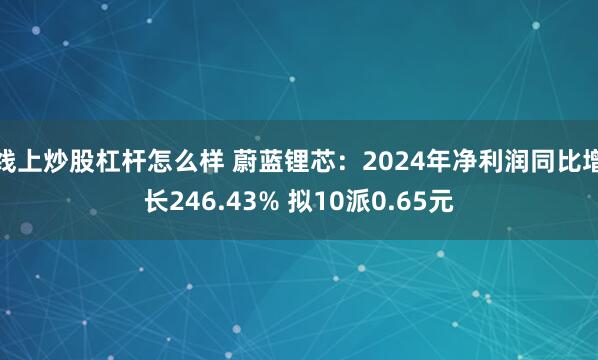 线上炒股杠杆怎么样 蔚蓝锂芯：2024年净利润同比增长246.43% 拟10派0.65元